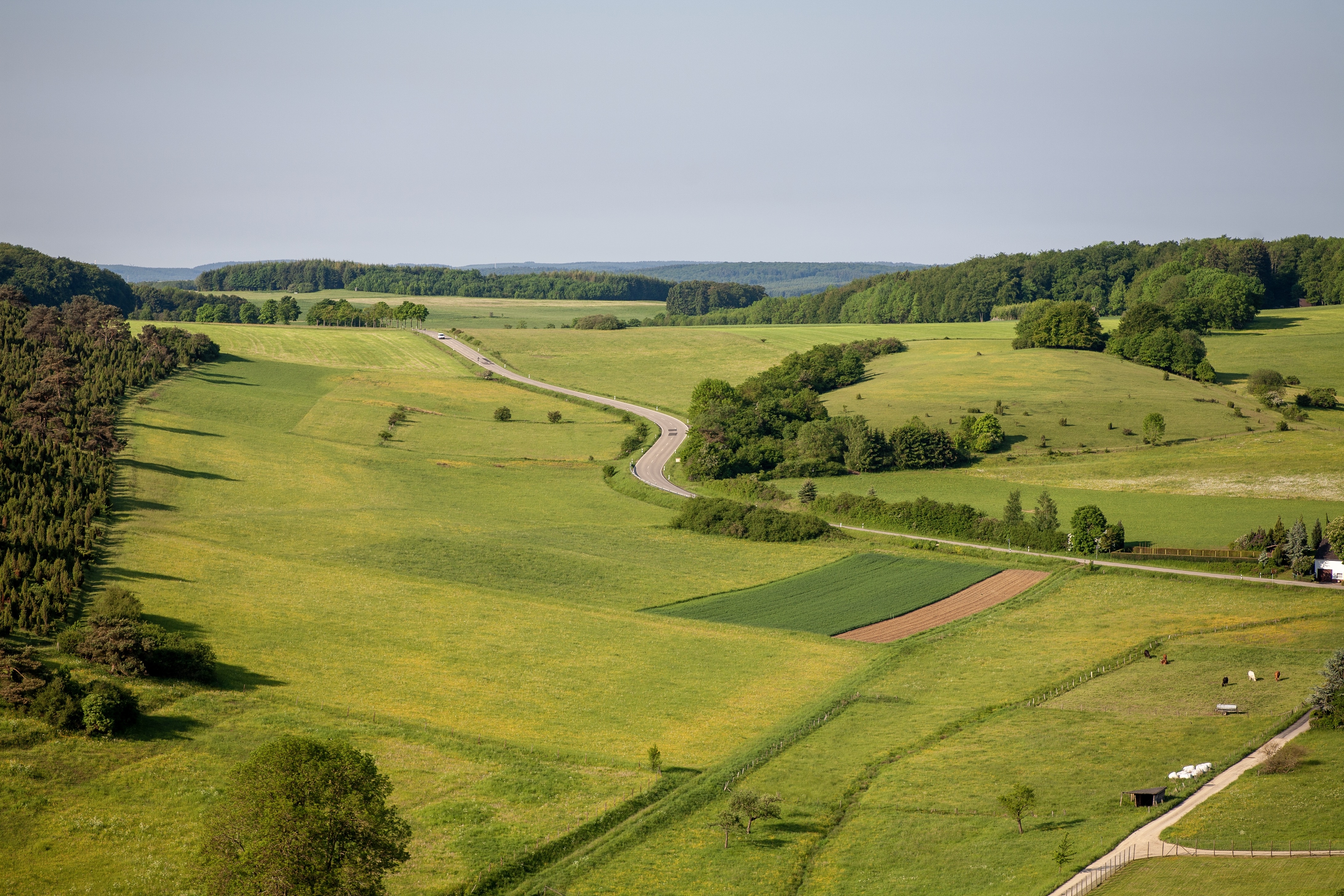 Land